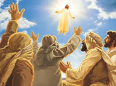 Illustration sublime - Image 2