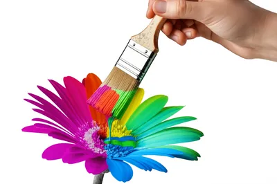 Illustration coloring