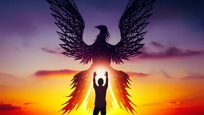 Illustration authors - Image 1