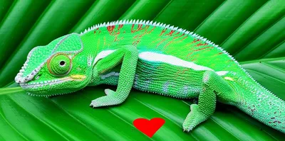 Illustration modifying - Image 1