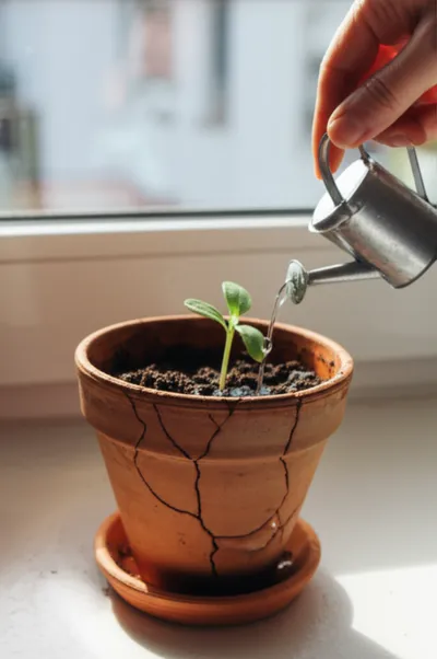 Illustration nursing - Image 1