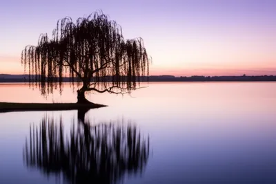 Illustration quiet - Image 1