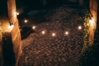 Illustration festoons - Image 1