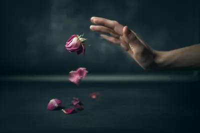 Illustration spurns - Image 1