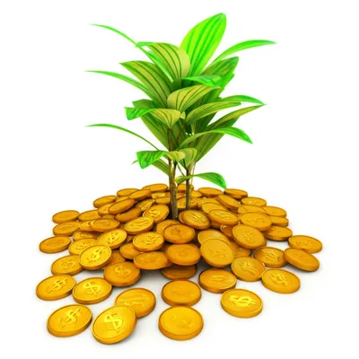 Illustration pay - Image 1