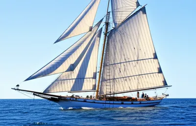 Illustration headsails - Image 1