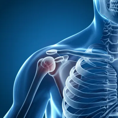 Illustration humerus - Image 1