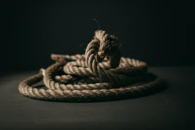 Illustration fangs - Image 1