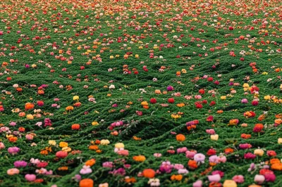 Illustration overruns - Image 1