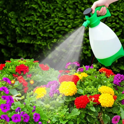 Illustration showers - Image 1