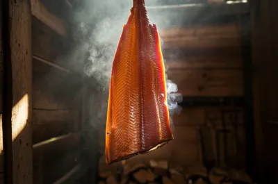 Illustration smoked - Image 1