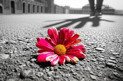 Illustration wounds - Image 1