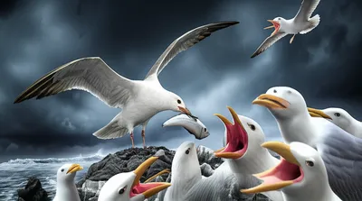 Illustration teaser - Image 1