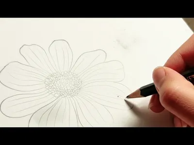 Illustration tracing - Image 1