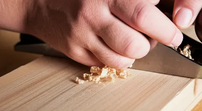 Illustration planed - Image 1