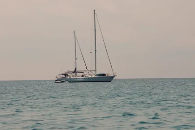 Illustration hove - Image 2