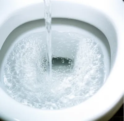 Illustration flushed - Image 1