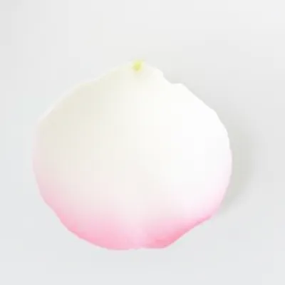 Illustration tinge - Image 1