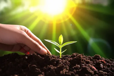 Illustration finding - Image 1