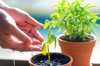 Illustration moralize - Image 1