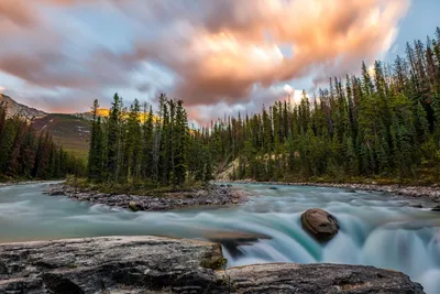 Illustration amalgamating - Image 2