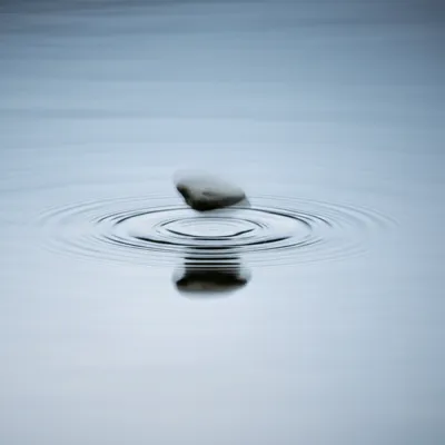 Illustration skips - Image 1