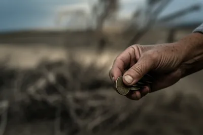 Illustration closer - Image 1