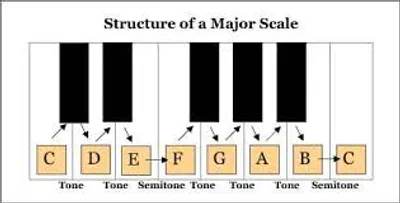 Illustration major - Image 2