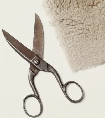 Illustration lewis - Image 1