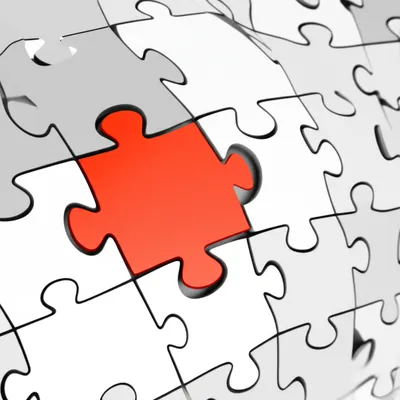 Illustration member - Image 1