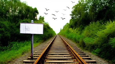 Illustration abandonments - Image 1