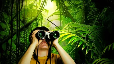 Illustration espy - Image 1