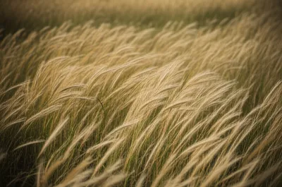 Illustration slant - Image 1