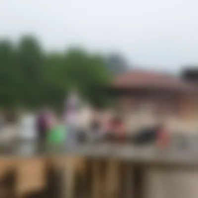 Illustration indeterminate - Image 1