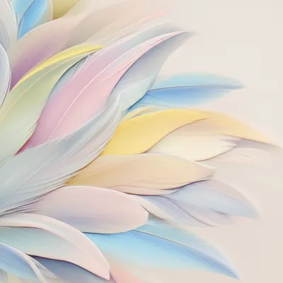 Illustration feathery - Image 1