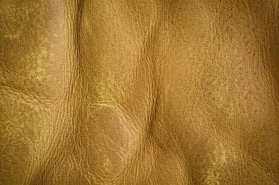 Illustration blooms - Image 1