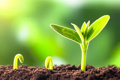 Illustration heightened - Image 2