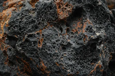 Illustration wads - Image 1