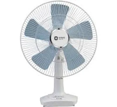 Illustration fan - Image 3