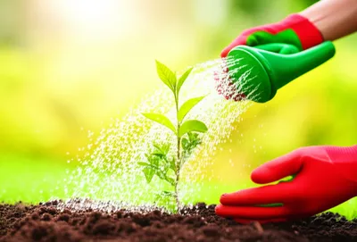 Illustration done - Image 1