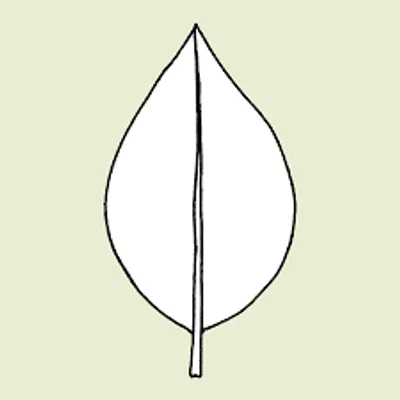 Illustration foil - Image 2