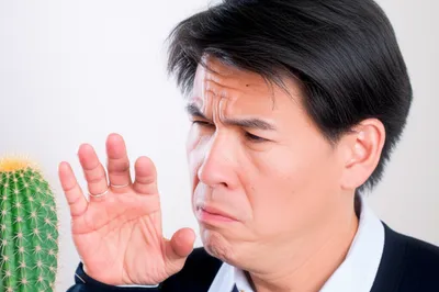 Illustration nettled - Image 1