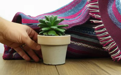 Illustration covering