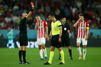 Illustration dismisses - Image 1