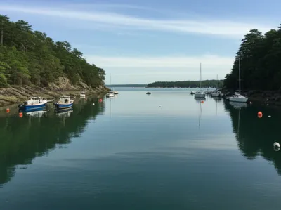 Illustration creek - Image 1