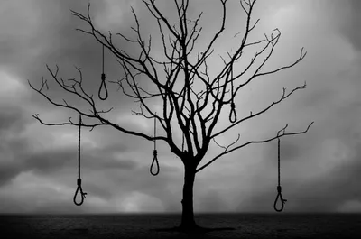 Illustration boughs - Image 1