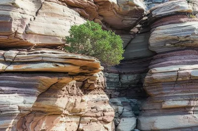 Illustration ledge - Image 1