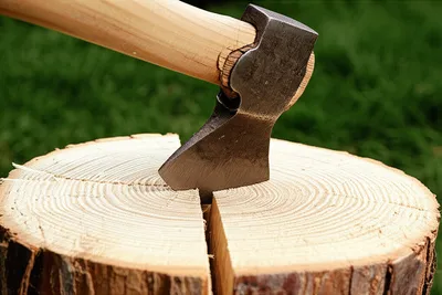 Illustration cleaves - Image 1