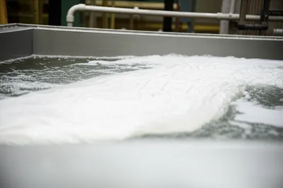 Illustration sours - Image 1