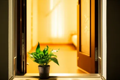 Illustration welcomes - Image 1